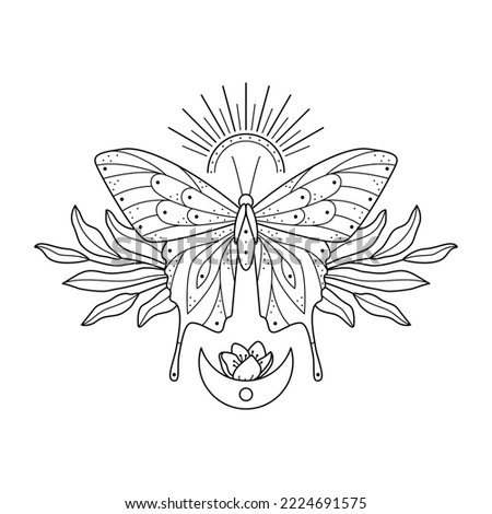 Stylized celestial illustration of butterfly and florals. Line art butterfly with leaves, sun and moon. Black and white insect print, tattoo design. Vector illustration for t-shirt, notebook cover