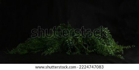 Bush of tropical vines on dark background. Artificial plastic cloth realistic plants with copy space.