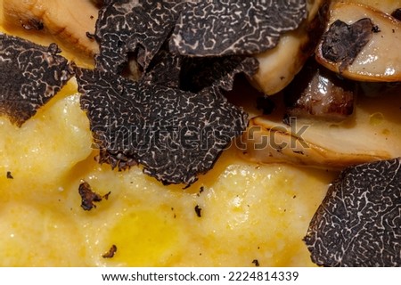 Mashed potatoes with mushrooms and grated truffle in a plate on the table