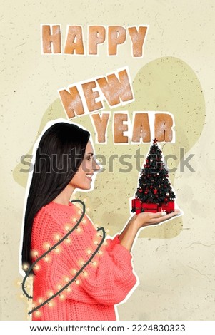 Composite collage picture image of beautiful gorgeous young woman hold little new year christmas tree garland presents gifts banner poster