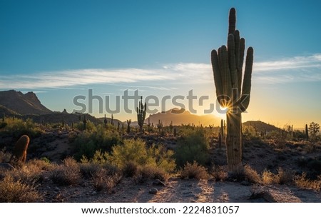 Sunrise beaming over Superstition Mountains under saguaro cactus from Usery Mountain Royalty-Free Stock Photo #2224831057