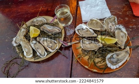 Oysters with lemon and a glass of wine on the French coast