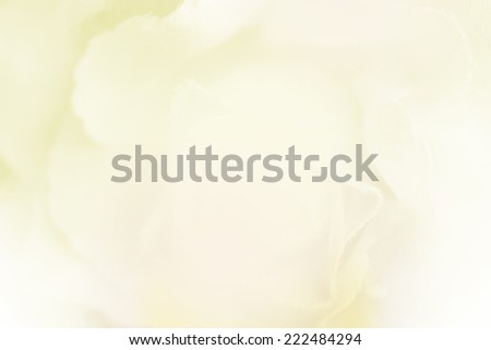 Vivid color rose in blur style for background.