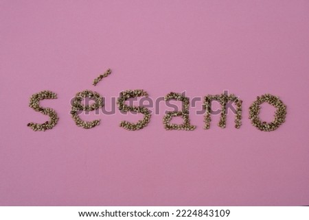 Sesame seeds on pink background forming the word "sésamo" (sesame in Spanish)