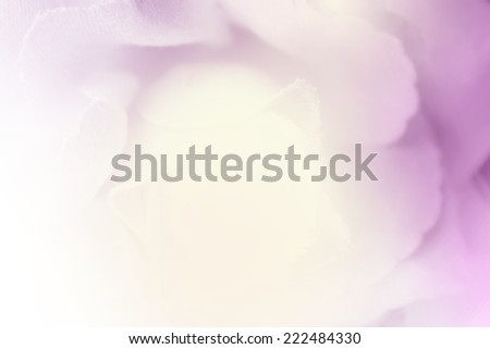 Vivid color rose in blur style for background.
