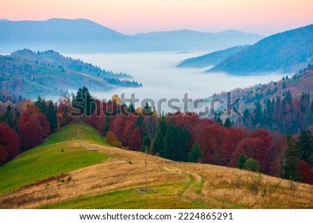 Magnificent dawn autumn scenery with colorful trees on meadow, fog above valley and mountain ranges on background. National Natural Park Synevir, the Carpathian Mountains, Ukraine. Royalty-Free Stock Photo #2224865291