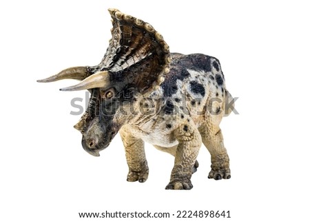 dinosaur , Triceratops on isolated background clipping path Royalty-Free Stock Photo #2224898641