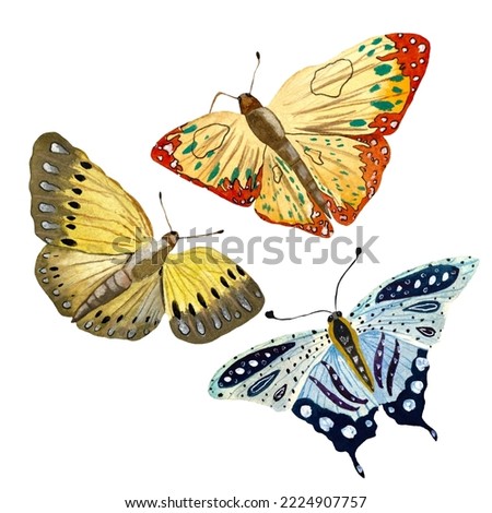 Blue orange yellow butterfly. A watercolor hand drawn illustration. Isolated on white background. Picture for use in design, home decor, fabrics, prints, textile, cards, invitation, banner, stationery
