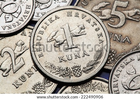 Coins of Croatia. Croatian national coat of arms and marten (Martes martes) depicted in the Croatian one kuna coin. Royalty-Free Stock Photo #222490906