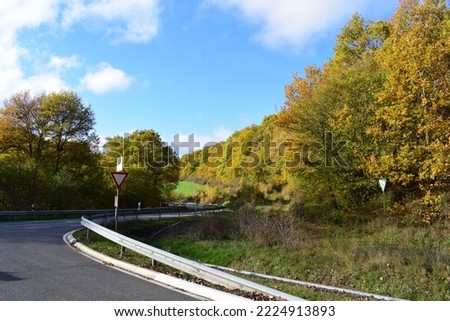 curvy valley road in autumn forest