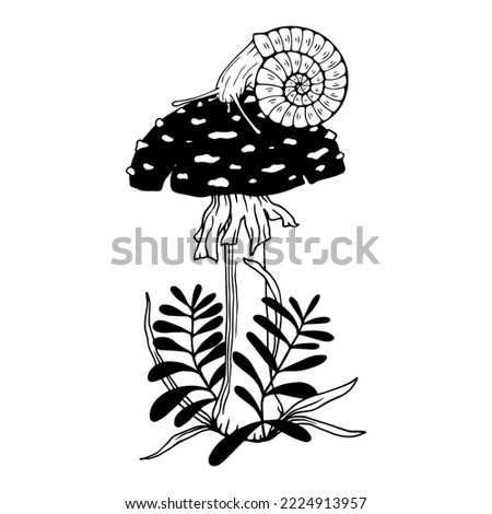 Mushroom sketch with plants and creeping snail.Forest flora and fauna.Vector graphics.