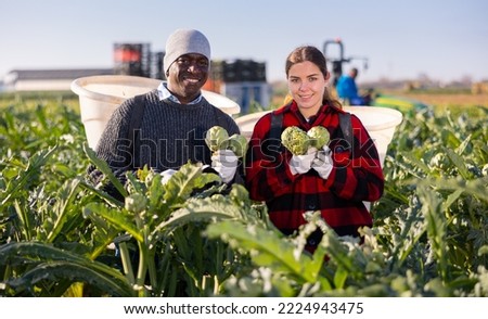 Couple of positive smiling farm workers, man and woman, posing with freshly harvested artichokes on vegetable farm