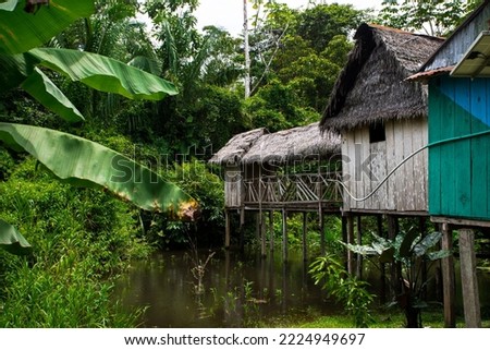 House on the bank of the Amazon River. Royalty-Free Stock Photo #2224949697