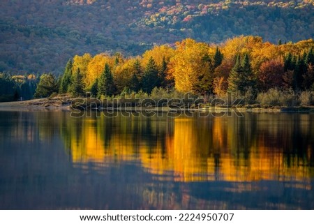 Northern autumn forest and lake with beautiful reflections in a national park