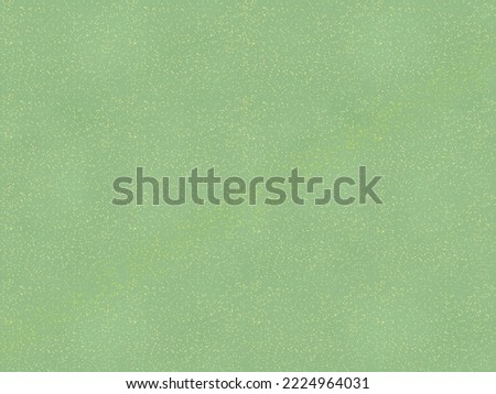 Textured material of Japanese paper with gold powder＿green