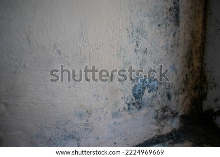 interior painting with damp and dirty pastel color