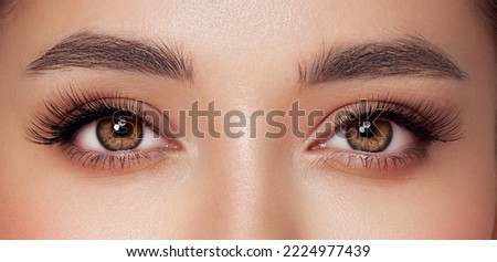 Female Eye with Extreme Long False Eyelashes. Eyelash Extensions. Makeup, Cosmetics, Beauty. Close up, Macro Royalty-Free Stock Photo #2224977439