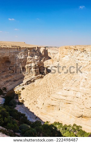 landscape of the gorge in the Negev desert view from above