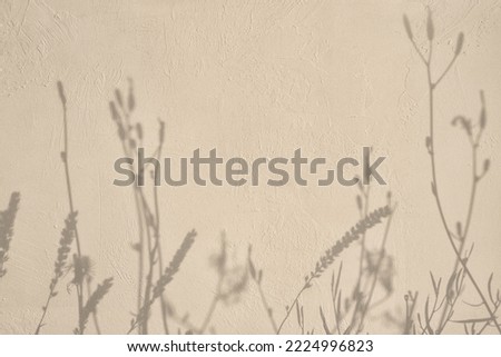 Abstract grass flowers shadows on beige concrete wall texture. Abstract trendy colored nature concept background. Copy space for text overlay, poster mockup flat lay 