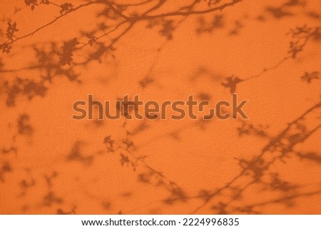 Abstract cherry tree flowered branches shadows on orange concrete wall texture. Abstract trendy colored nature concept background. Copy space for text overlay, poster mockup flat lay 