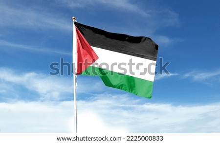 Palestine flag on cloudy sky. waving in the sky