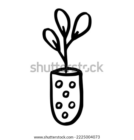 Vector hand drawn potted plants flower vector