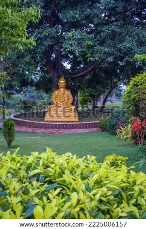 selective focus picture of buddha statue under a tree