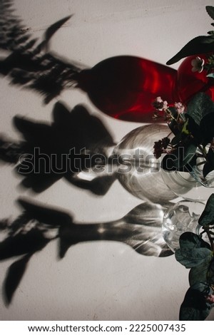 red and two transparent flower vases with flowers stand on a white surface, light shines on them creating a black silhouette shadow on a white surface.