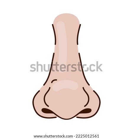 Wide nose of Caucasian person with big tip cartoon illustration. Nose of white person with bulbous tip, human face part on white background. Rhinoplasty, anatomy, surgery, breathing, medicine concept Royalty-Free Stock Photo #2225012561