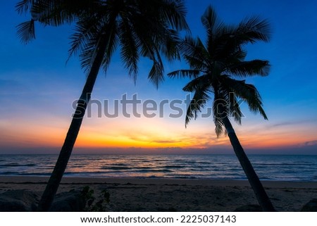 palm trees at the sea in dramatic sky. Royalty-Free Stock Photo #2225037143