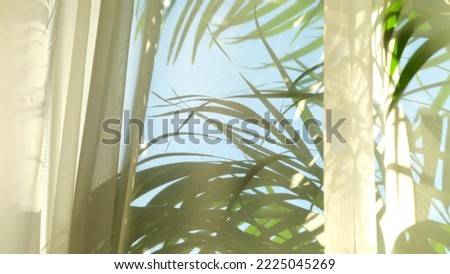 transparent curtain on the window, gently moved by the wind. sunlight. sun's rays shine through the transparent tulle Royalty-Free Stock Photo #2225045269