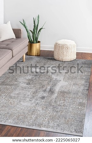 photo of room scene with carpet