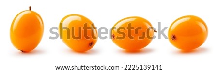 Buckthorn isolated. Sea buckthorn collection on white background. Buckthorn berries set with clipping path. Full depth of field. Royalty-Free Stock Photo #2225139141