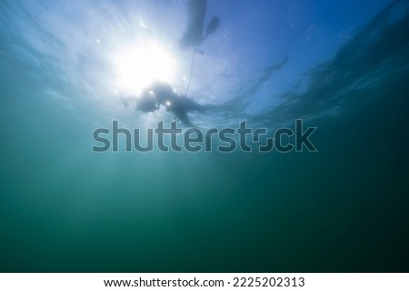 Freediver is swimming in the Pacific Ocean - La Jolla Shores - San Diego