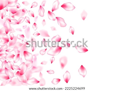 Japanese cherry blossom pink flying petals windy blowing background. Isolated flower parts wedding decoration vector. Floral natural blossom soft petals illustration. Park graphic elements.