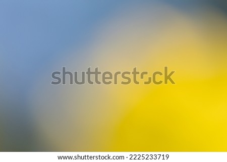 Abstract blurred background photo in vivid colours