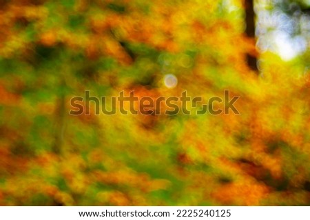 Abstract colorful bokeh. Defocused orange autumn background from natural forest out of focus. design element.