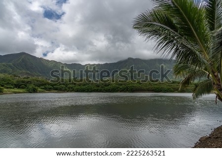 Stunning landscape views in Hawaii with large river and tropical palm tree. 