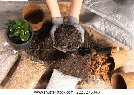 Gardening concept. A young woman mixes potting soil, prepares the soil for planting vegetables and herbs in the house, mixes potting soil, perlite, vermiculite, peat, worm, coconut flakes, rice husk. 