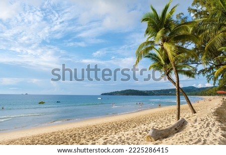 Palm trees during sunset on the beach of Bang Tao beach Phuket Thailand. Royalty-Free Stock Photo #2225286415