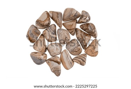 Tumbled picture jasper stones isolated on white