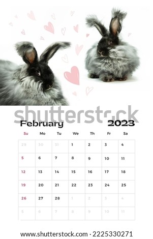 February 2023 calendar page, with photo of two rabbits and illustration elements, drawn hearts. Rabbit symbol of 2023.