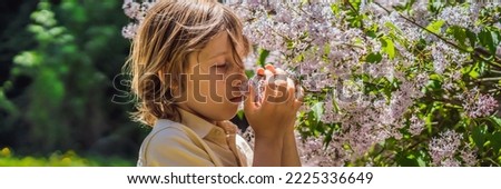 Little boy sniffing lilac bush. Concept of seasonal flowering and allergies BANNER, LONG FORMAT