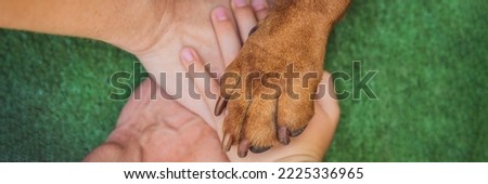 Human hands and dog paw as a team. Fight for animal rights, help animals BANNER, LONG FORMAT