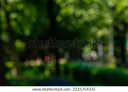 Abstract blurred green traa park sunny day with bokeh nature background