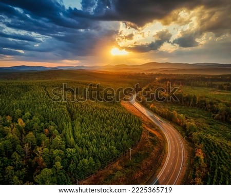 Sunrise landscape over forrest road way. Forest at sunrise Royalty-Free Stock Photo #2225365719