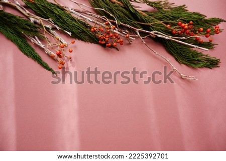 Winter botanical concept background. Dried branches, winter green and Winter berries composition. Winter holiday and Christmas background.