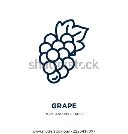 grape icon from fruits and vegetables collection. Thin linear grape, grapes, fruit outline icon isolated on white background. Line vector grape sign, symbol for web and mobile Royalty-Free Stock Photo #2225419397