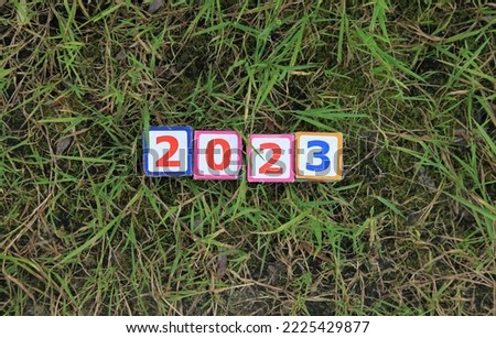 Inscription 2023. Toy square cubes and numbers on the grass surface, that means coming New Year Eve. Christmas, holidays, celebration concept. New Year of 2023, year of black water rabbit