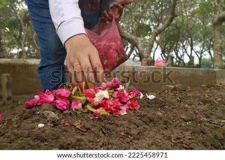 close up of a woman's hand sowing flowers or Kembang setaman during Nyekar or pilgrimage to the tomb. Royalty-Free Stock Photo #2225458971